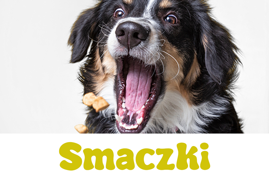 Smaczki i gryzaki