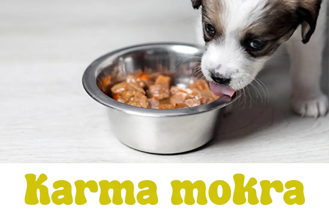 Karma-mokra Psijemność