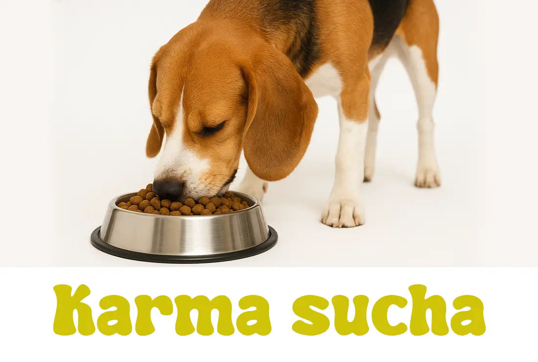 Karma-sucha Psijemność