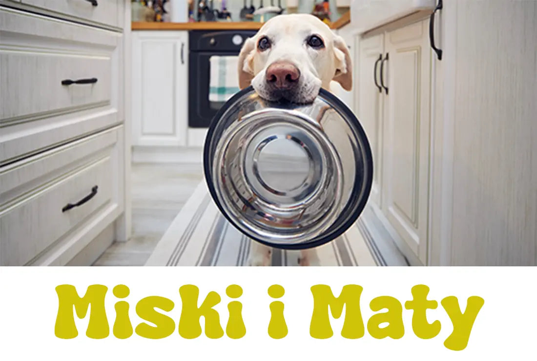 Miski-i-maty-do-lizania Psijemność