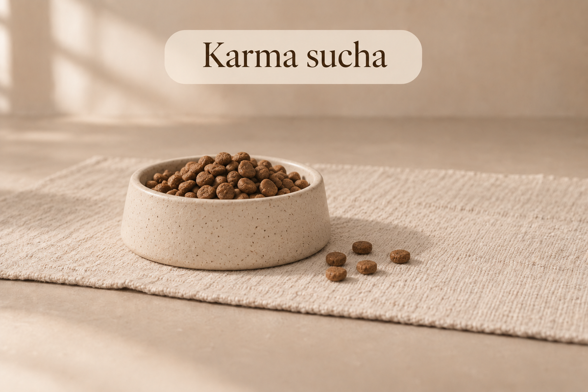 Karma sucha dla psa — Psijemność