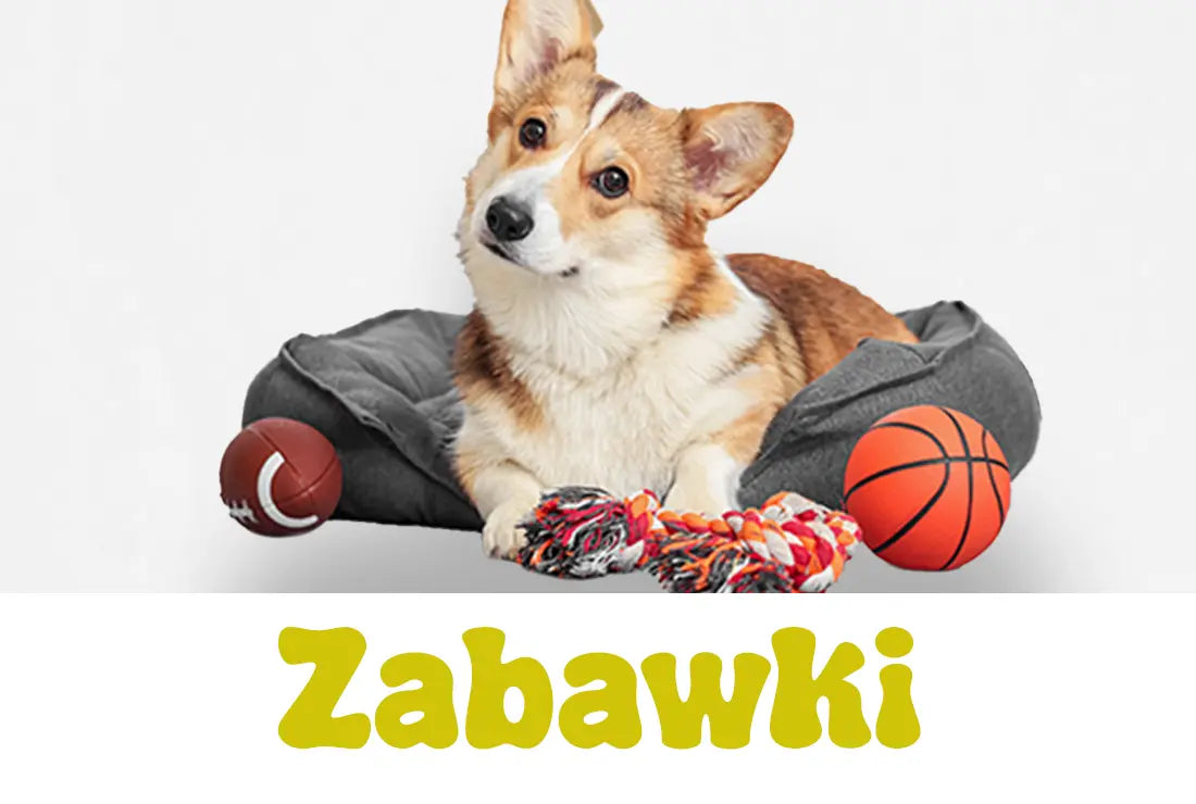 Zabawki Psijemność