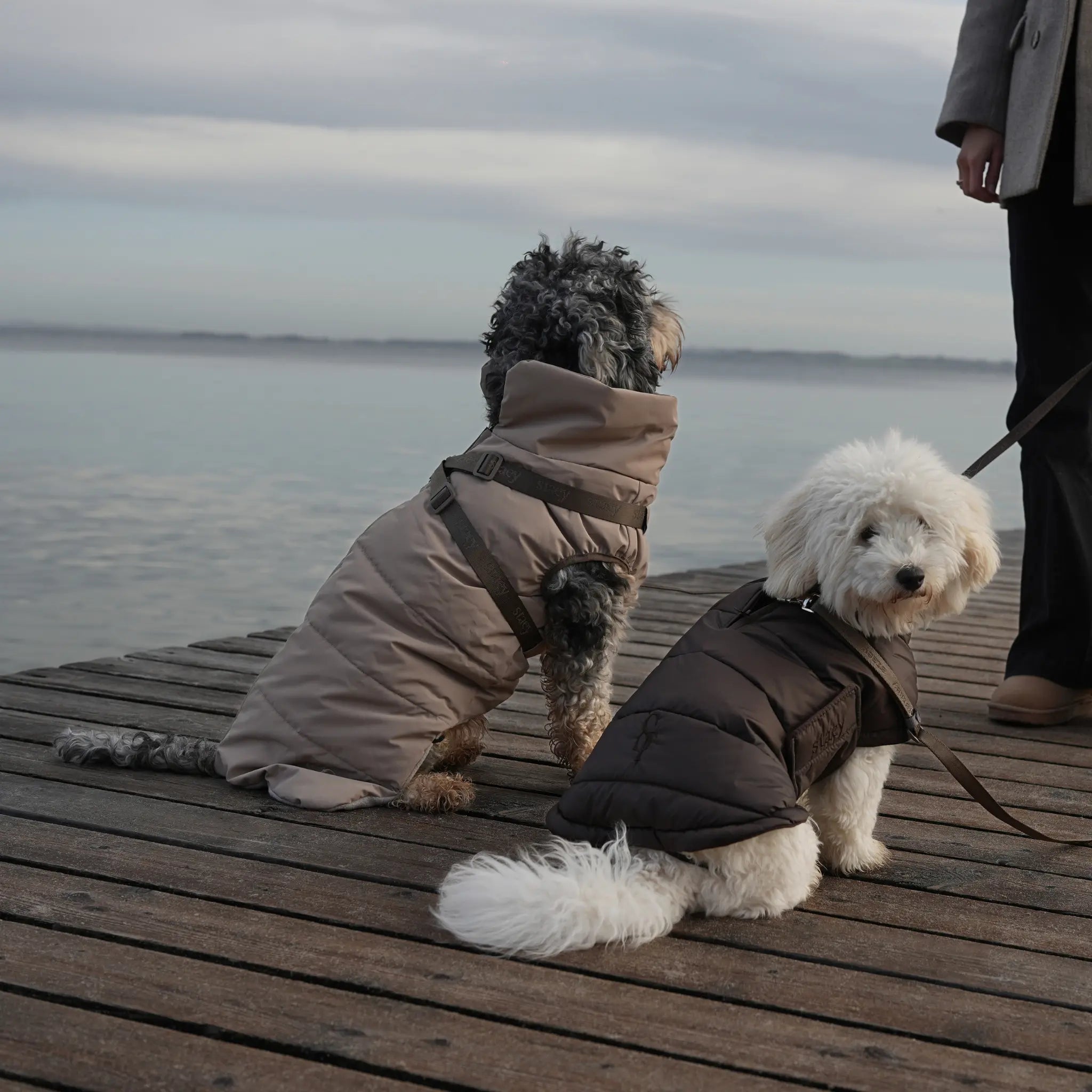 Nora Dog Coat | Espresso: XL Staey