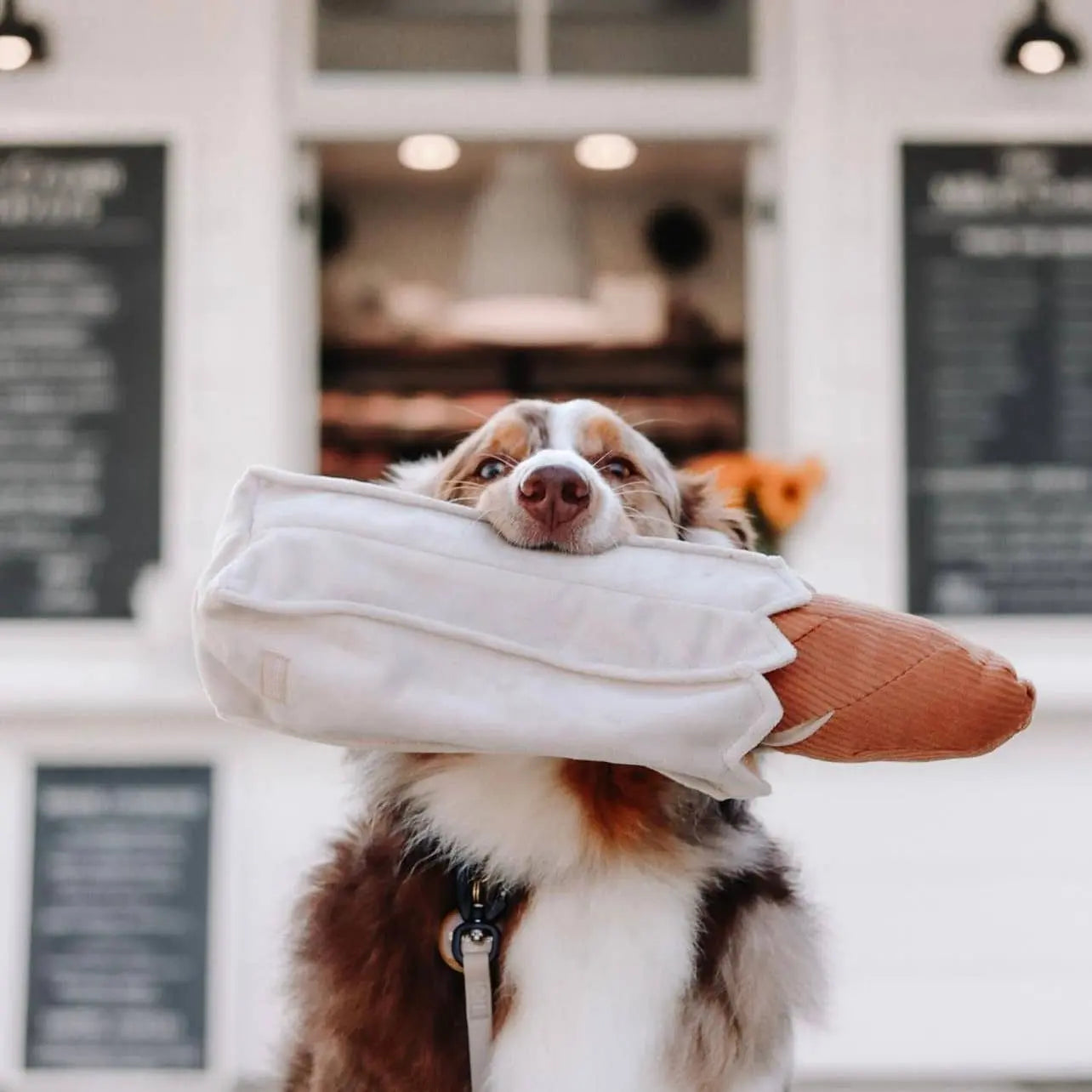 BAGUETTE //Zabawka edukacyjna Lambwolf