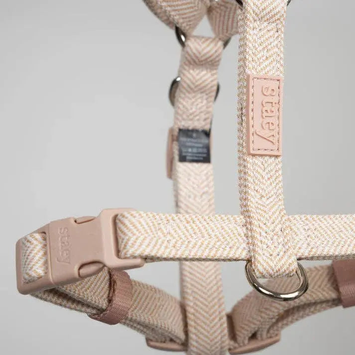 Tara H-Strap Dog Harness | Light Rose: M