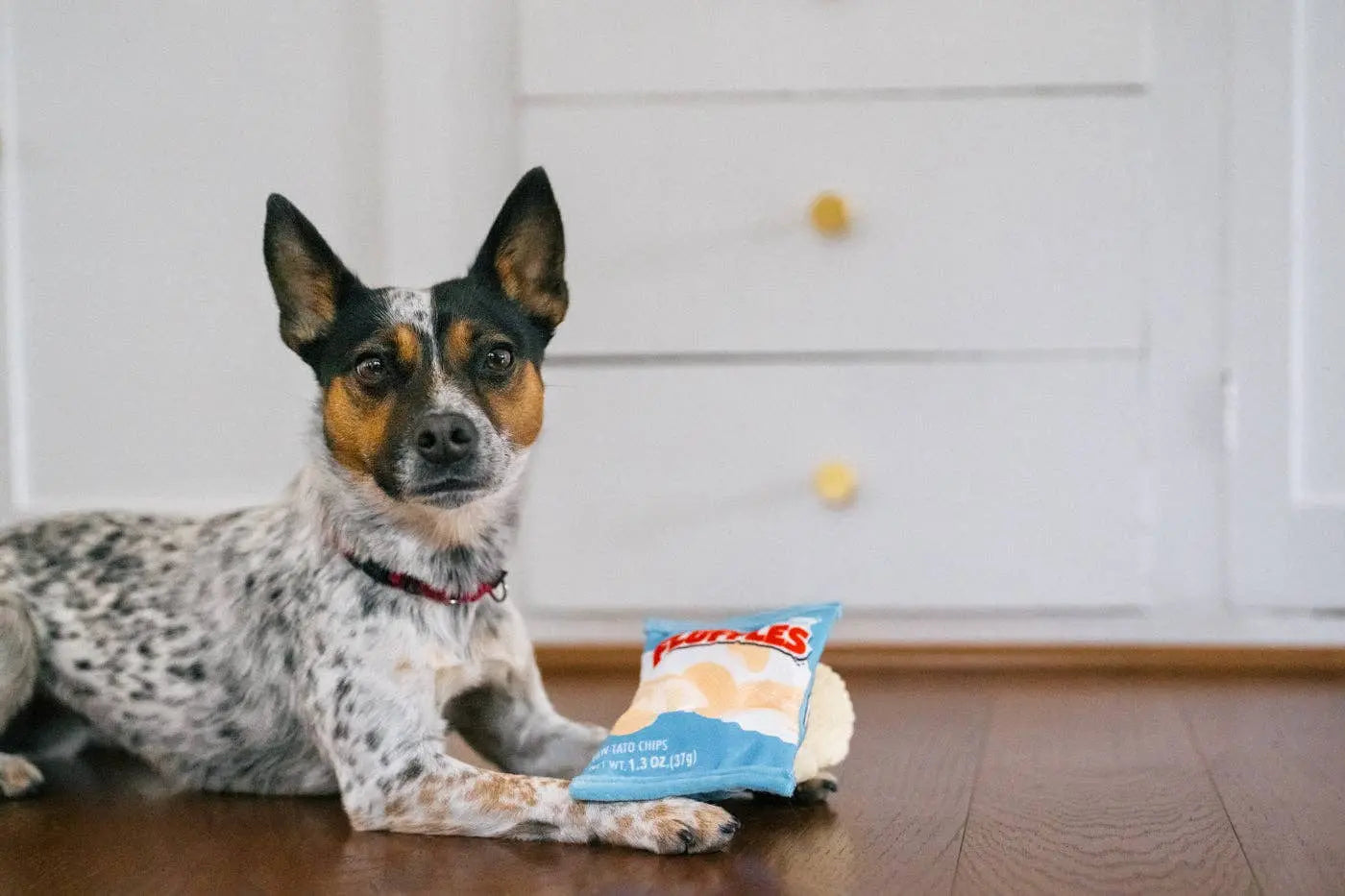 P.L.A.Y Snack Attack Fluffles Chips XS Zabawka dla psa P.L.A.Y