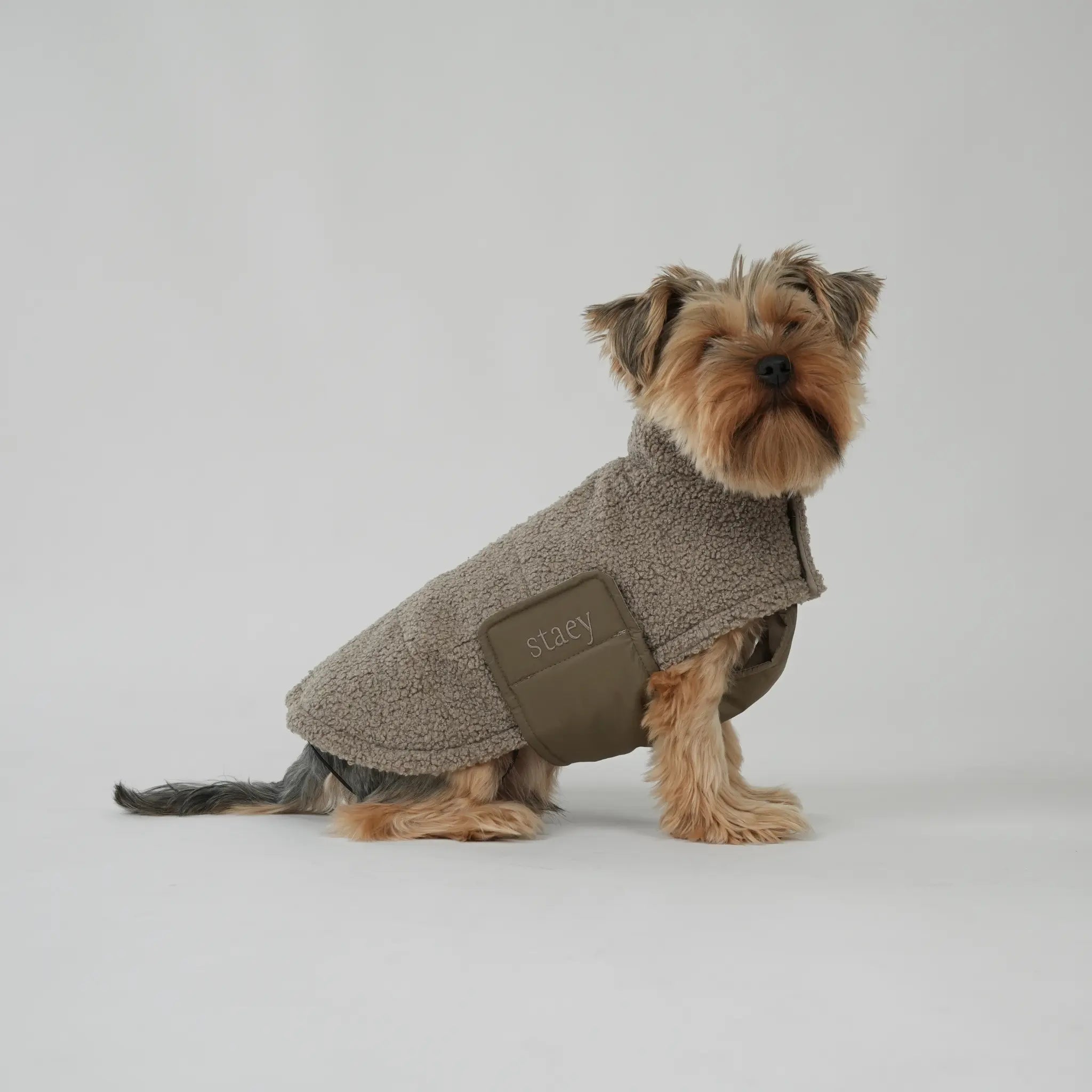 Dog Coat Teddy | Taupe: XL Staey