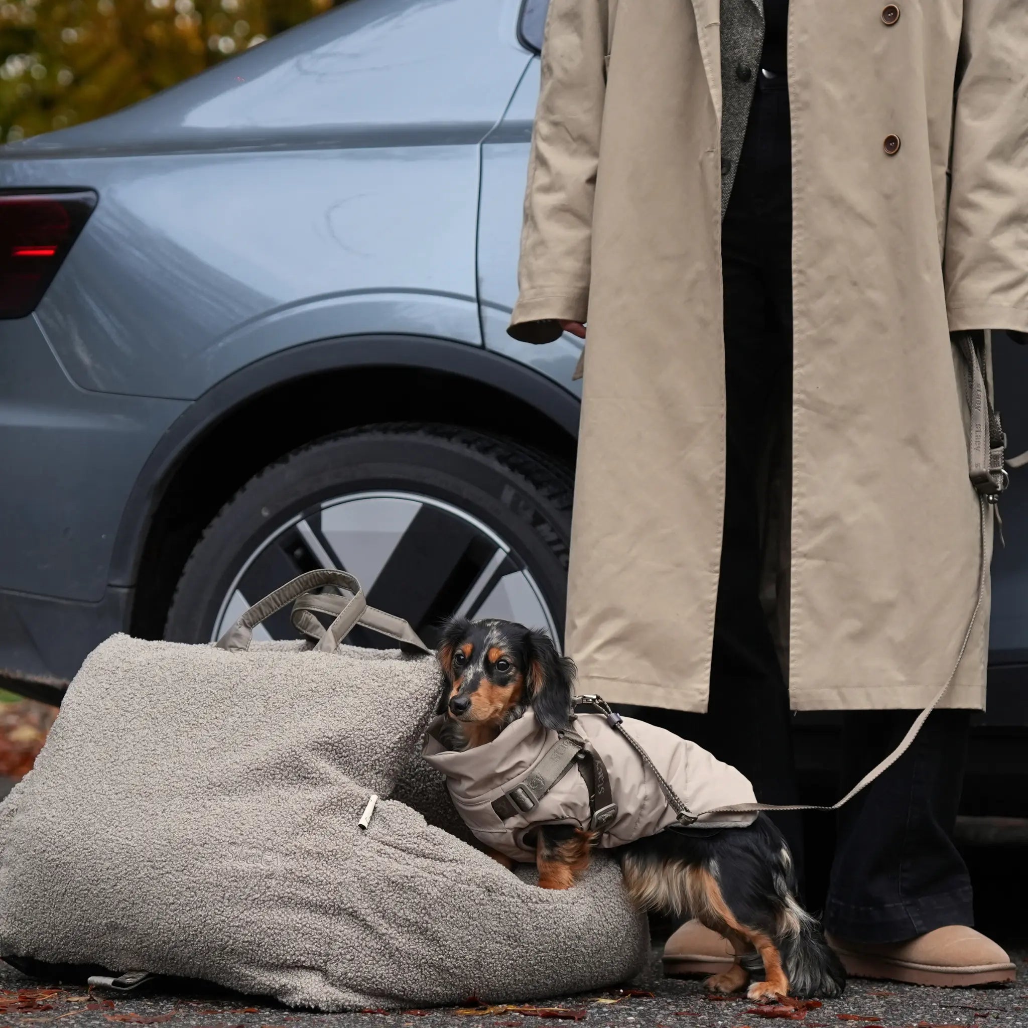 Vera Dog Coat with Harness | Sand: XS Staey