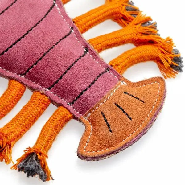 GREEN & WILD'S Larry the Lobster (Homar) Green & Wild's