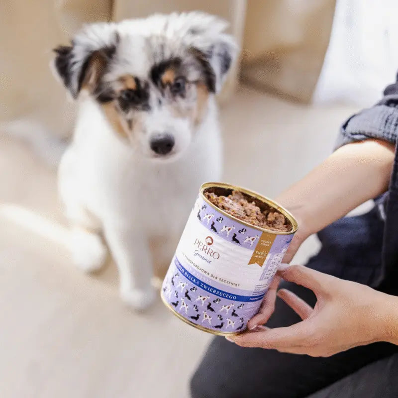 Karma mokra Gourmet JUNIOR Królik z dynią – monobiałkowa formuła dla szczeniąt wszystkich ras