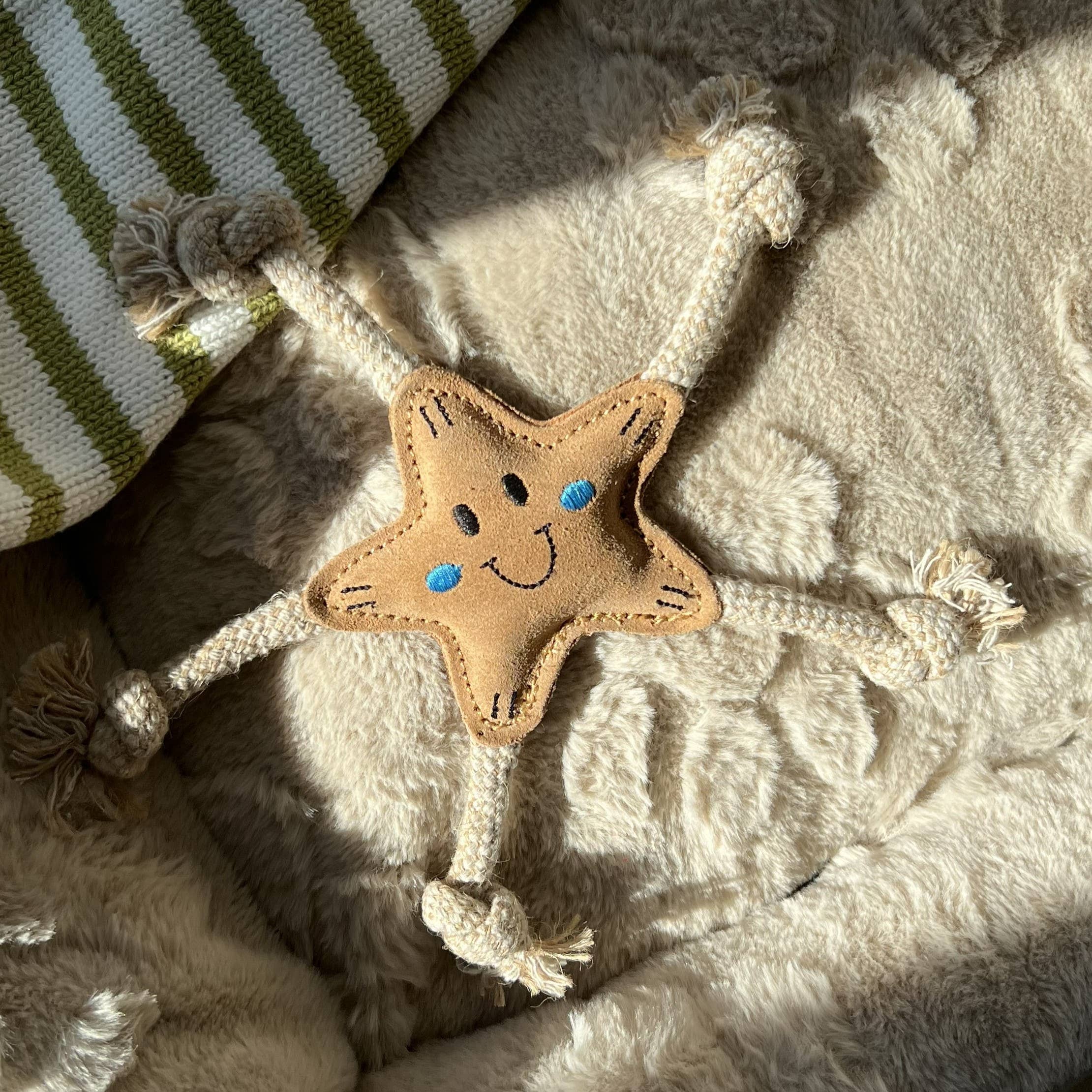 Stellina Summer Edition – letnia gwiazdka dla małych psów ⭐
