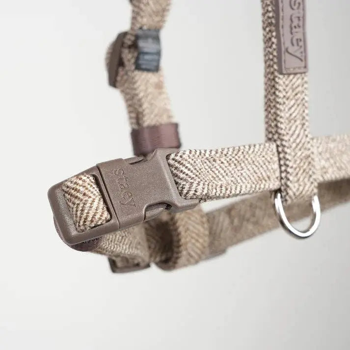 Tara H-Strap Dog Harness | Mocha: 'S