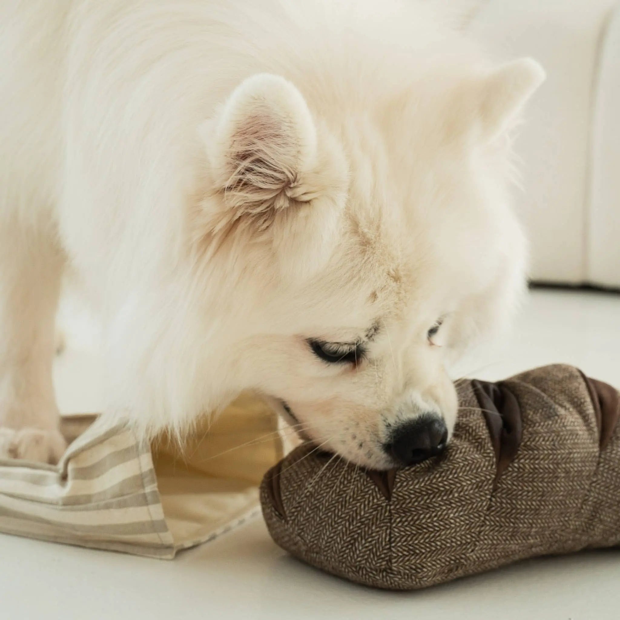 RYE//Enrichment Toy Lambwolf EU
