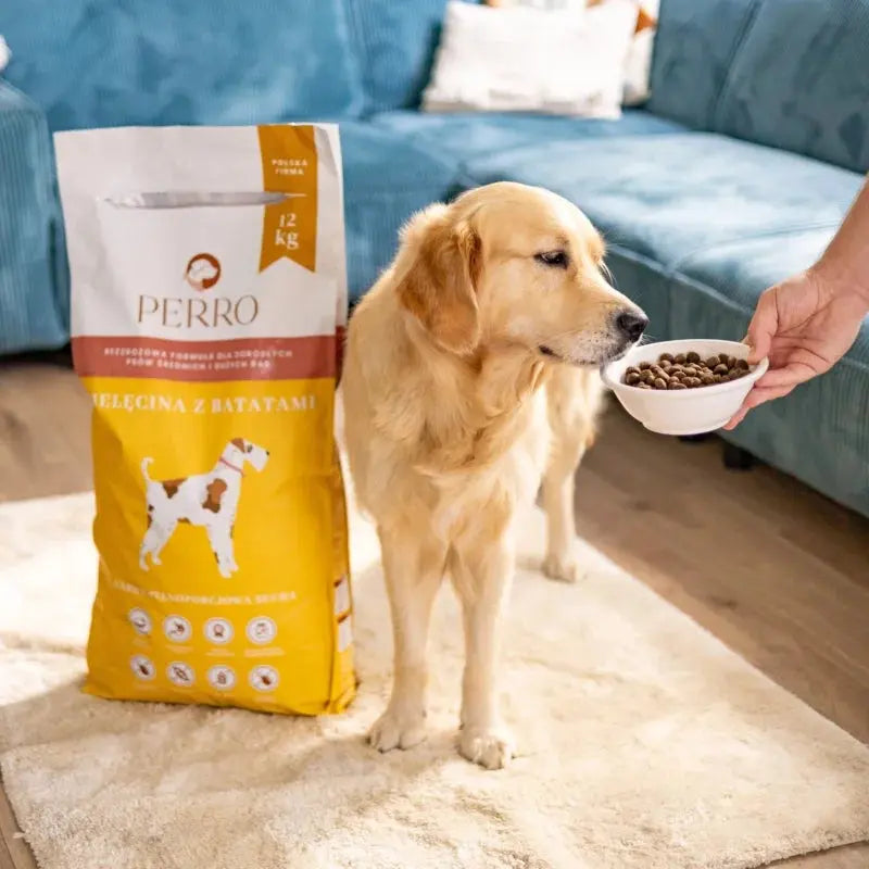 Karma sucha Cielęcina z batatami – bezzbożowa formuła dla psów dorosłych średnich i dużych ras 12kg Perro