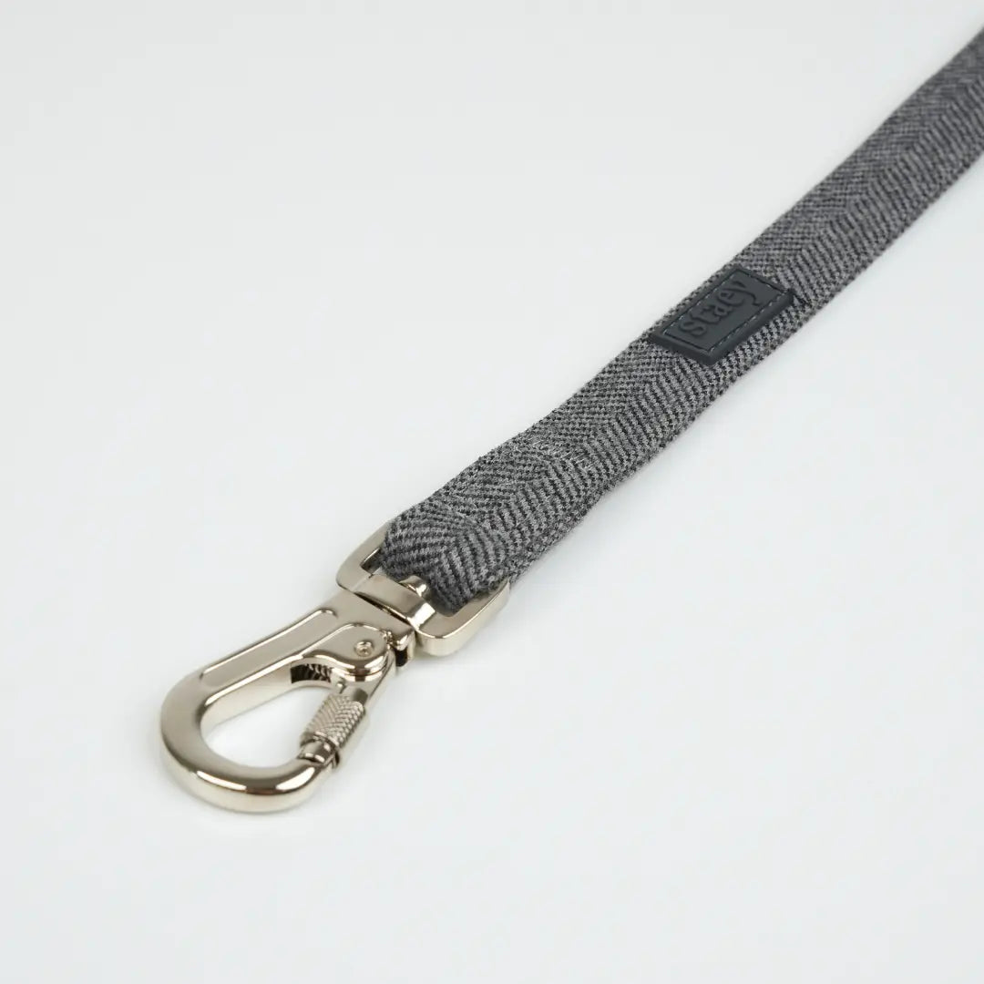 Dog Leash Elma | Dusty Blue