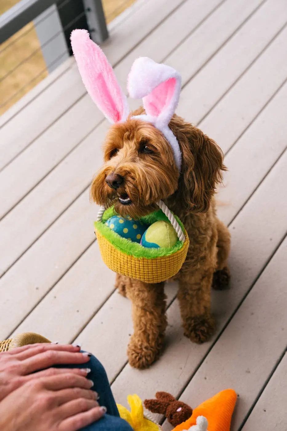 P.L.A.Y Hippity Hoppity Eggs-cellent Basket