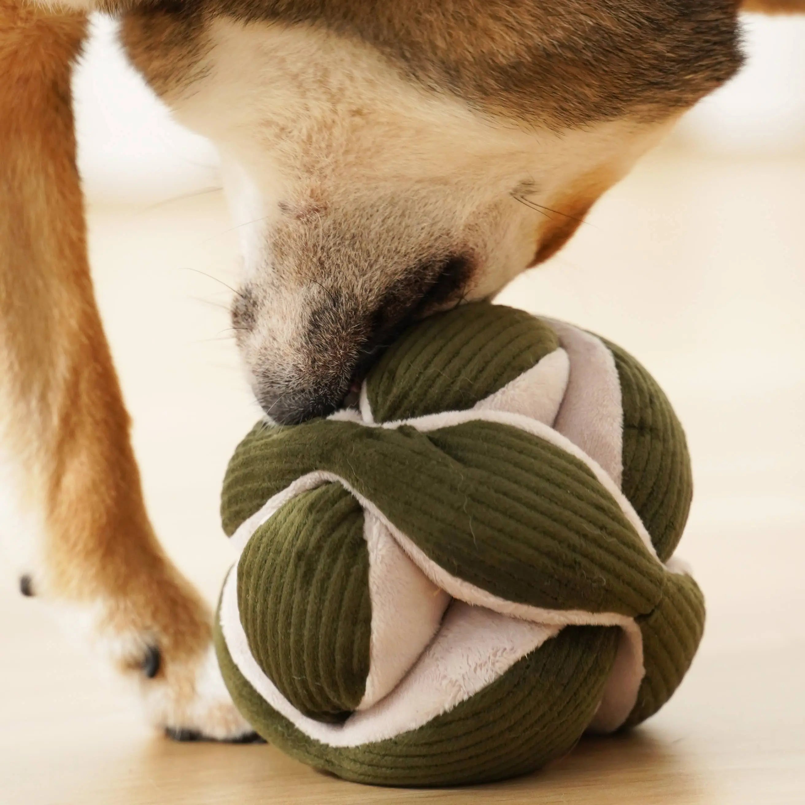 MONTI //Enrichment Toy : Pine Lambwolf