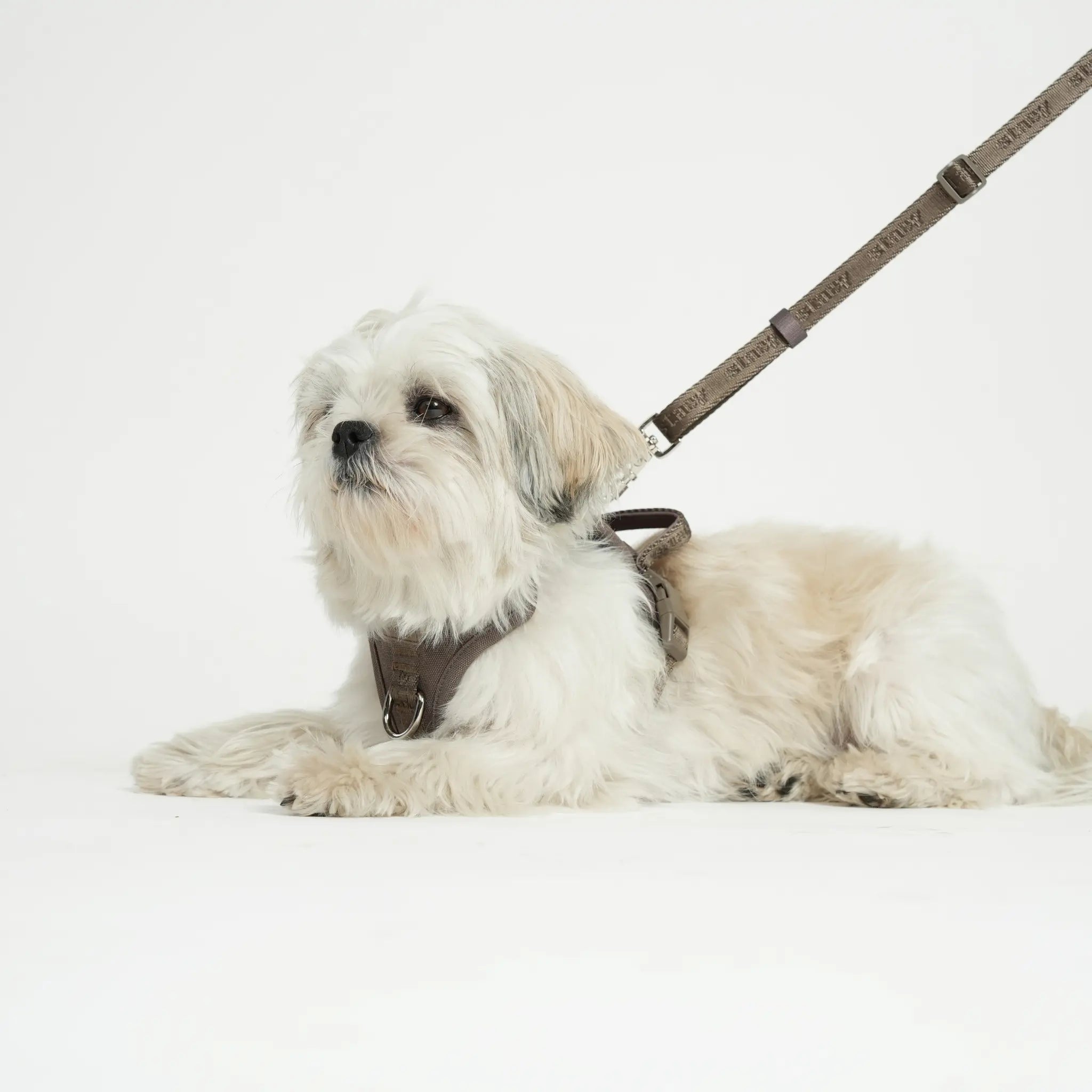 Hands-Free Dog Leash – smycz bez użycia rąk ( Taupe )