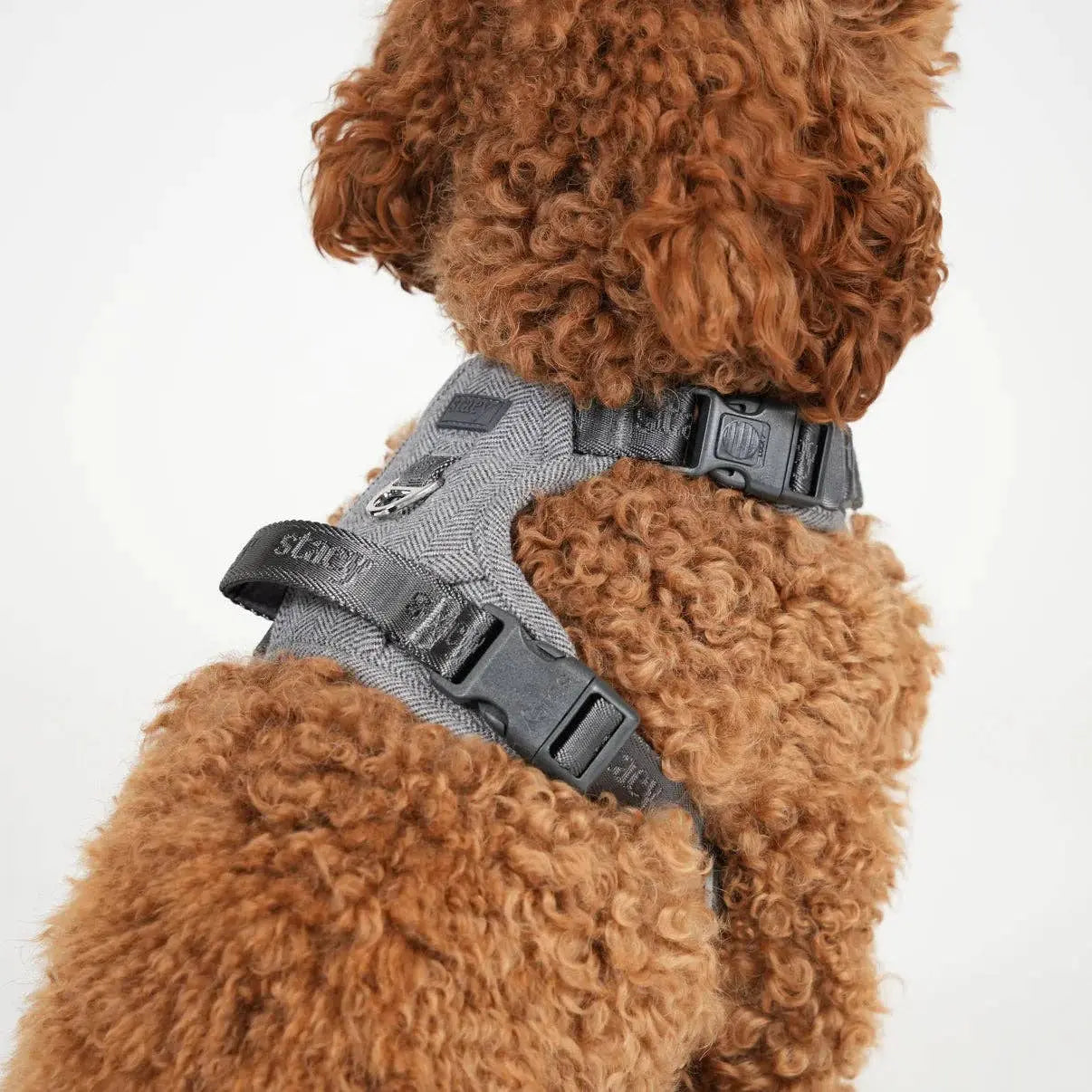Elma Dog Harness | Dusty Blue: L