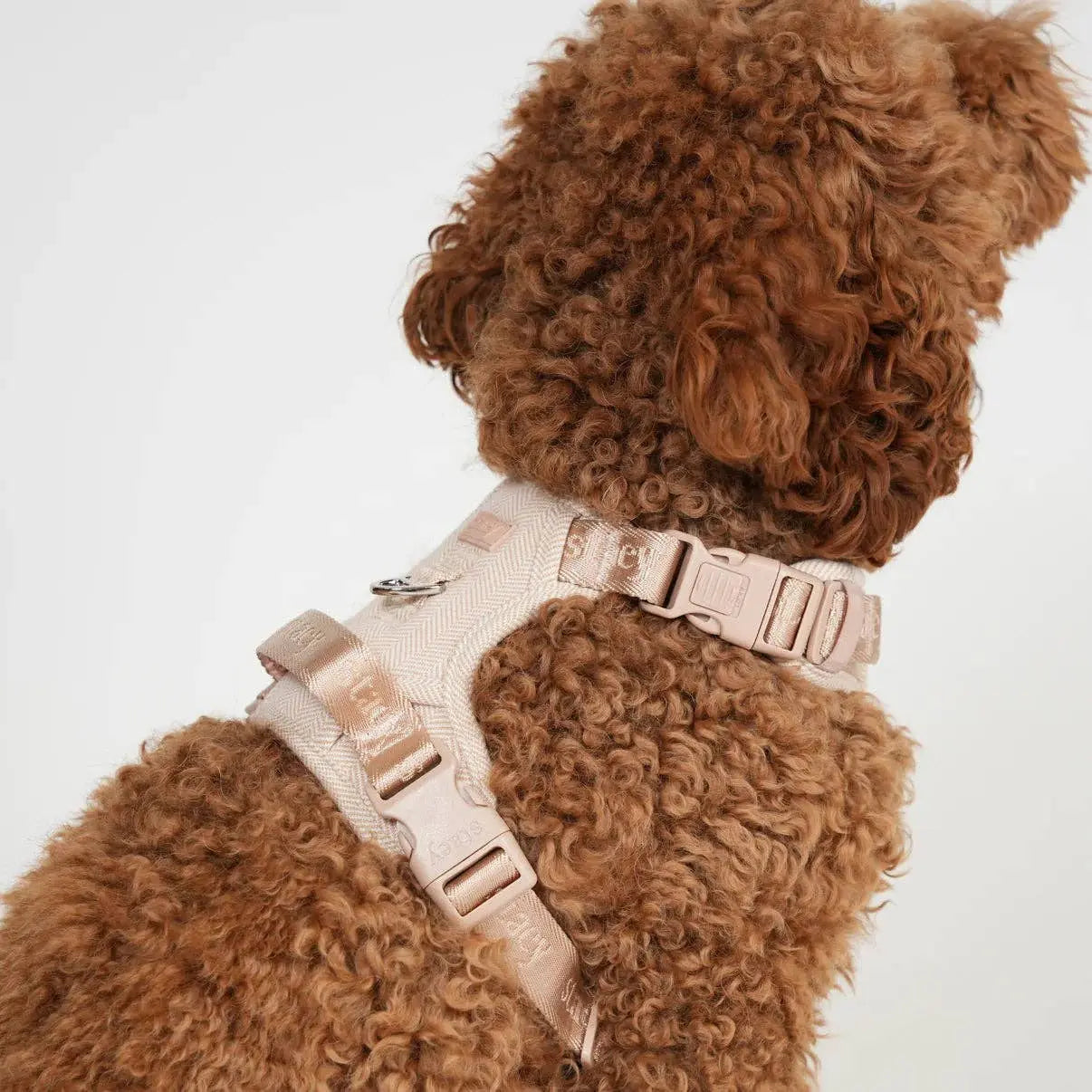Elma Dog Harness | Light Rose