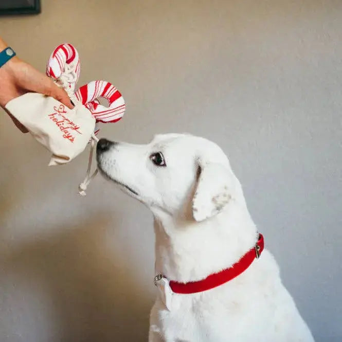 P.L.A.Y Holiday Classic Cheerful Candy Canes P.L.A.Y