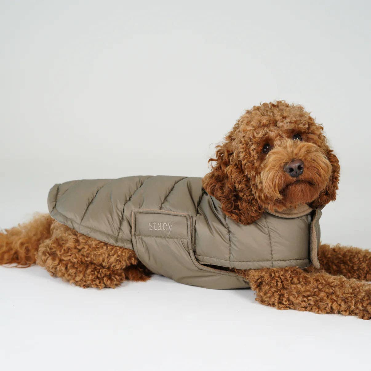Nora Dog Coat | Taupe: XS Staey