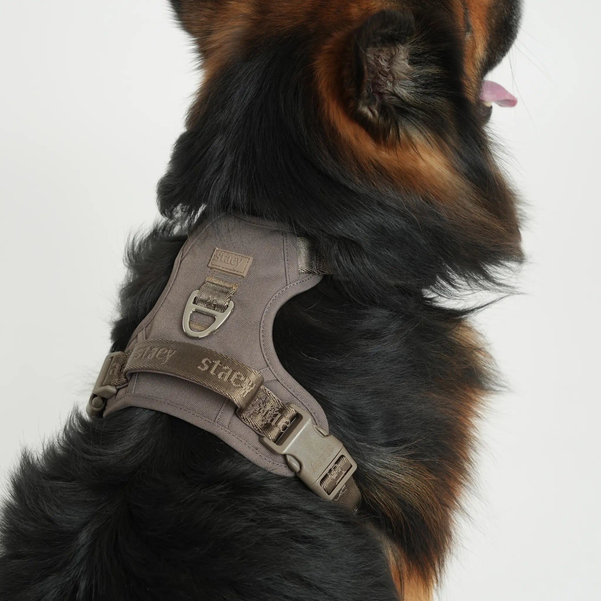 Elma Active Dog Harness | Taupe: M