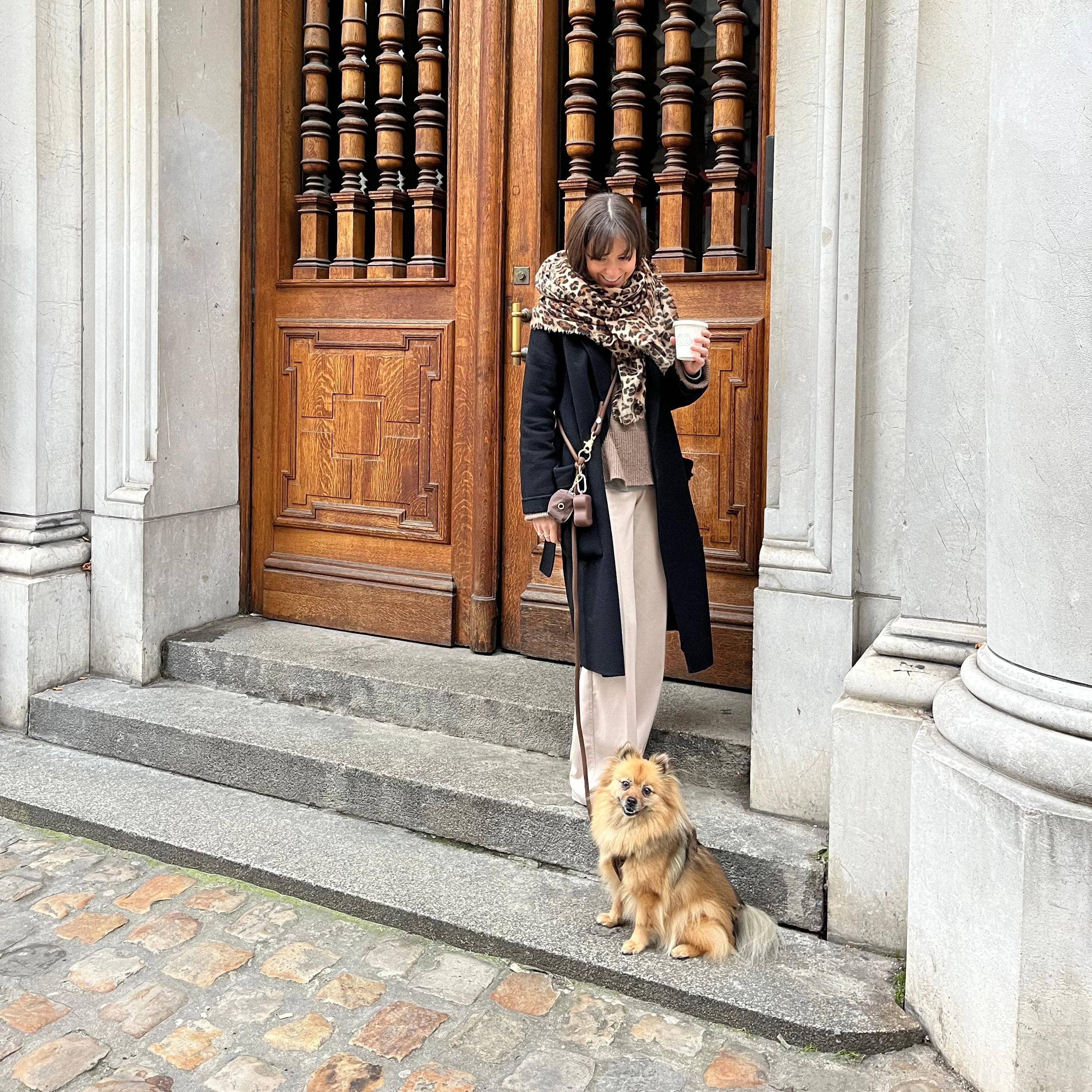 Smycz pleciona Hands Free dla psa – Bordeaux