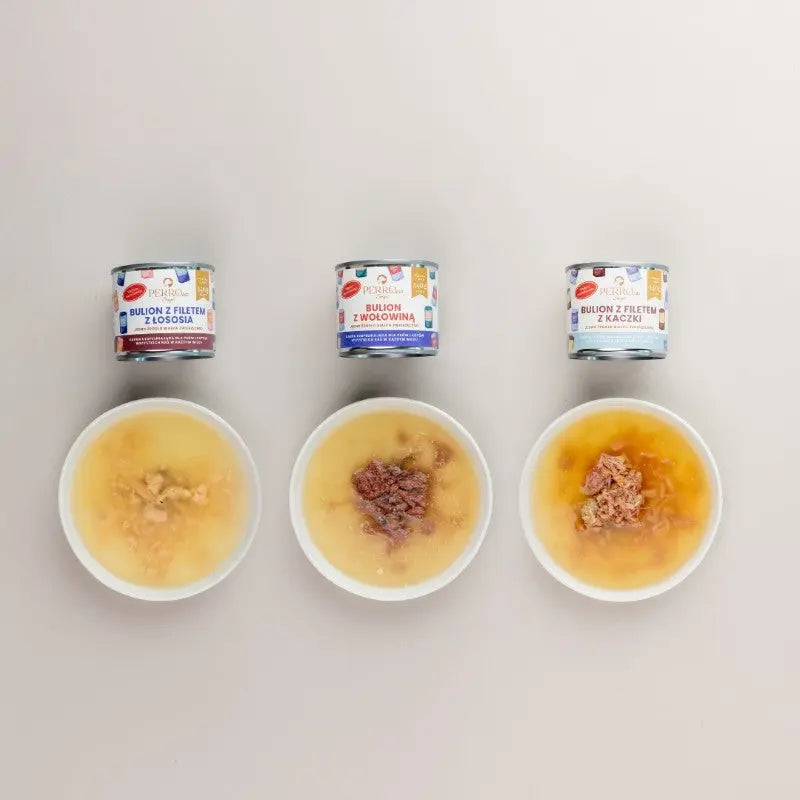 PERROland – Soups 140g – Bulion z łososia dla psa i kota