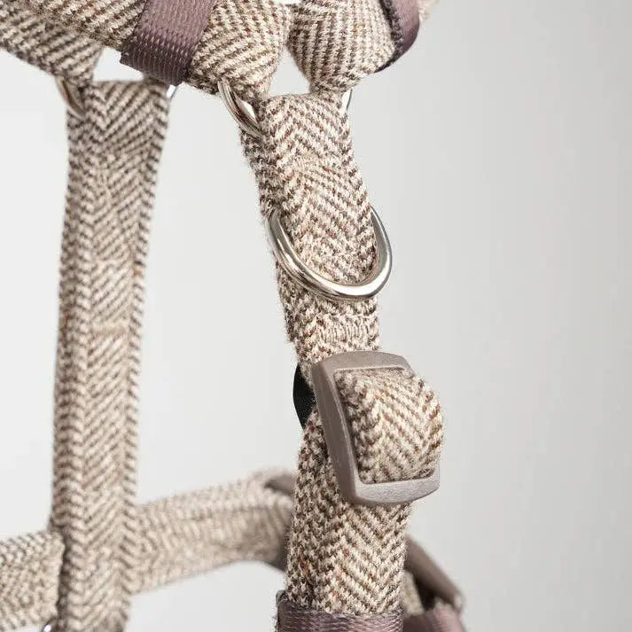 Tara H-Strap Dog Harness | Mocha
