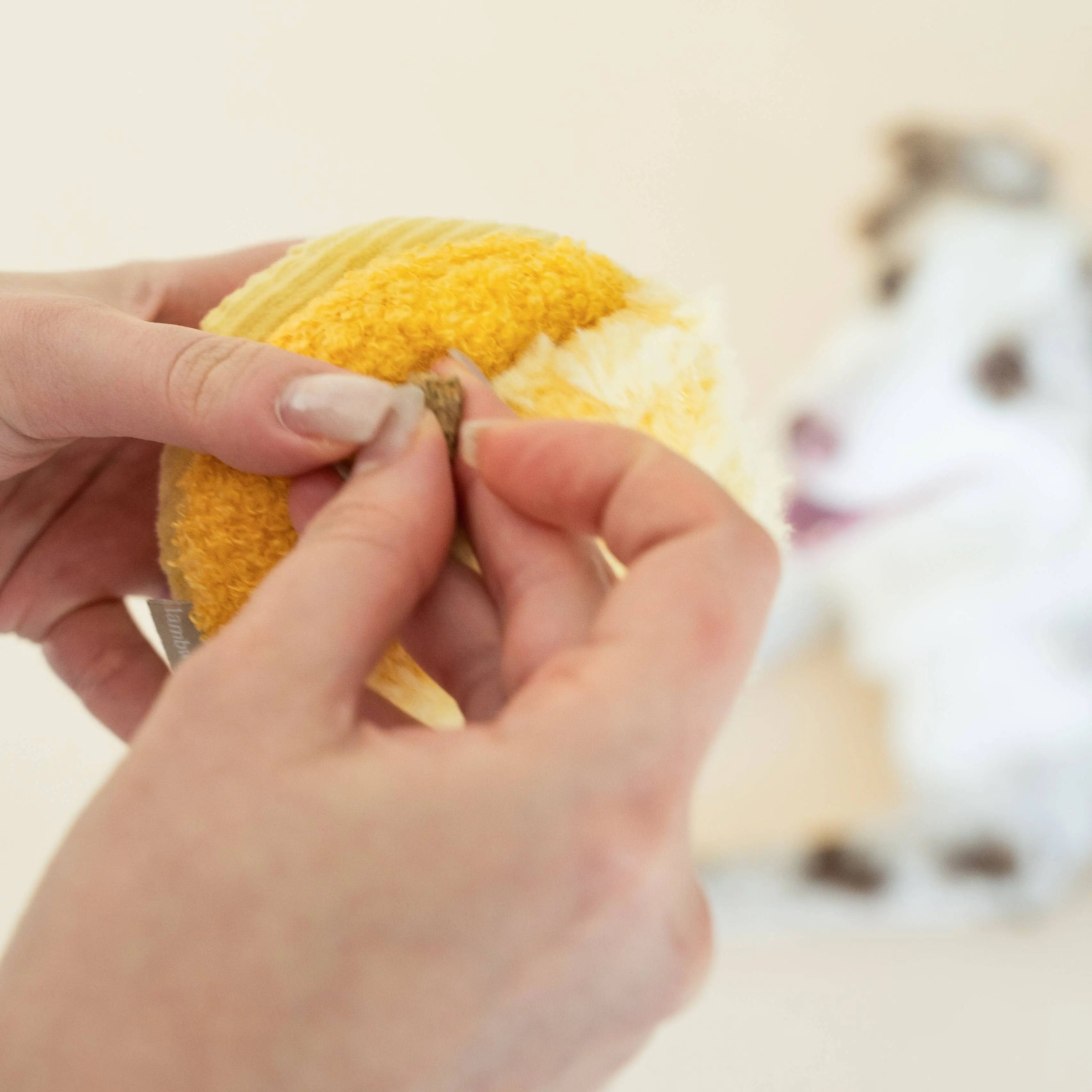 TOTO //Enrichment Toy ( small) : Green Lambwolf