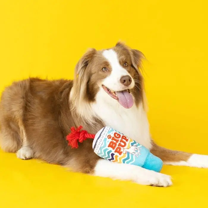 Fringe Studio Plush Dog Toy, Big PUP, Wagsdale Dog Toy Collection Wagsdale