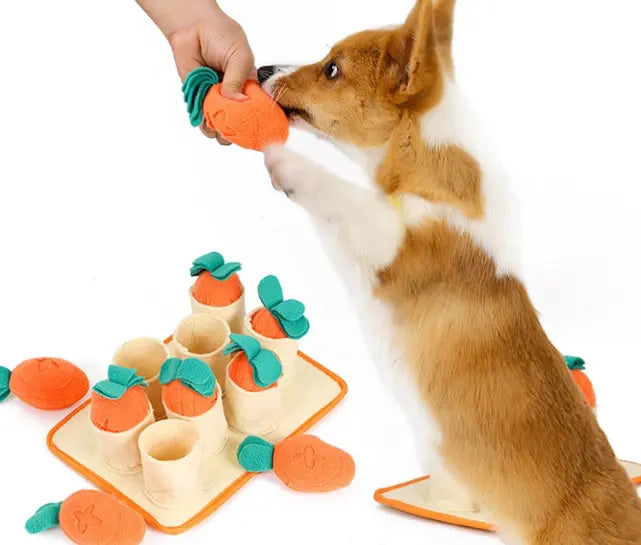 DOGLEMI Zabawka węchowa MARCHEWKOWE POLE Doglemi