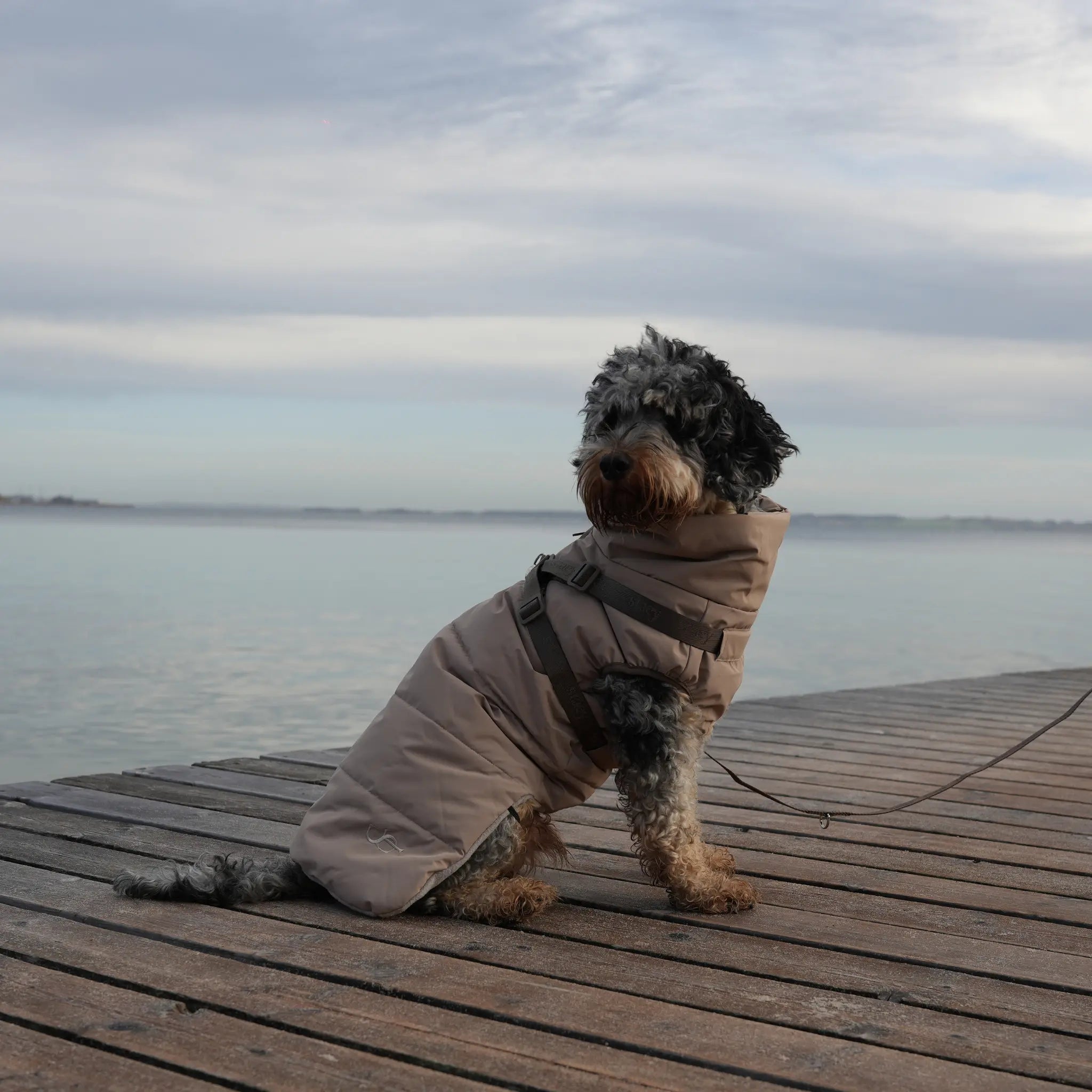Vera Dog Coat with Harness | Sand: M Staey