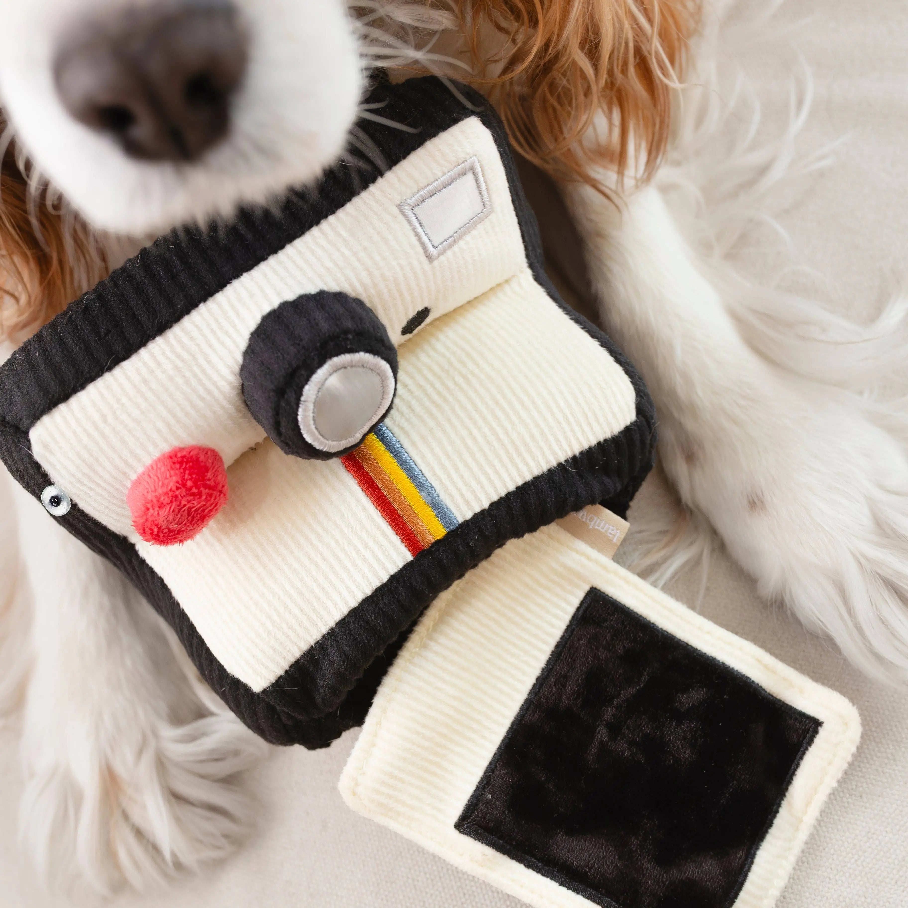 INSTANT CAMERA//Enrichment Toy Lambwolf