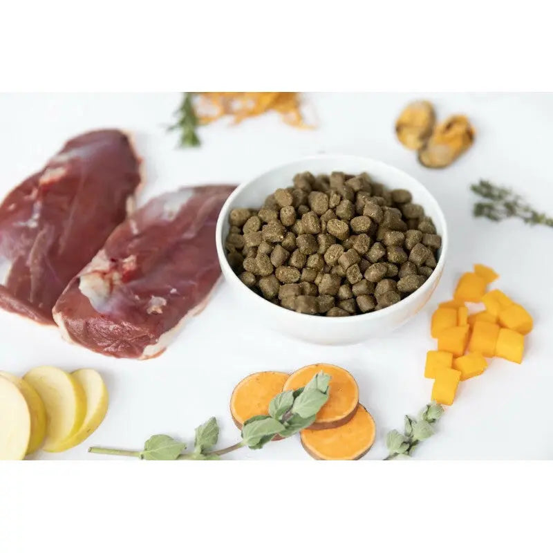 YDOLO Pure Duck – półwilgotna karma dla psów dorosłych z kaczką 10kg YDOLO
