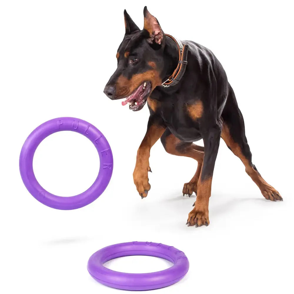 Puller Standard 28cm 2szt. - ringo dla dużego psa, zabawka treningowa