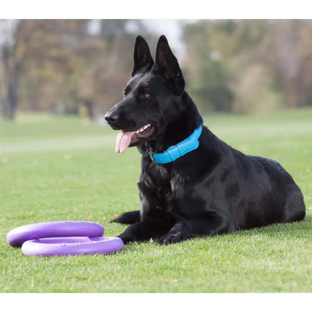 Puller Standard 28cm 2szt. - ringo dla dużego psa, zabawka treningowa
