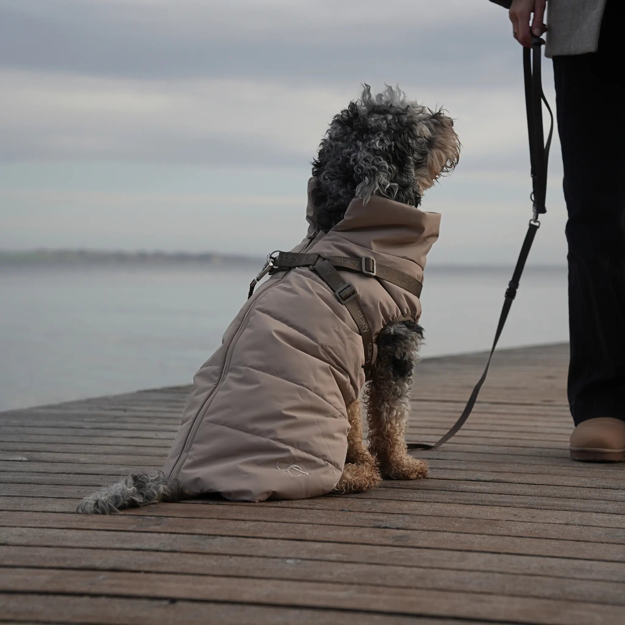 Vera Dog Coat with Harness | Sand: XS Staey