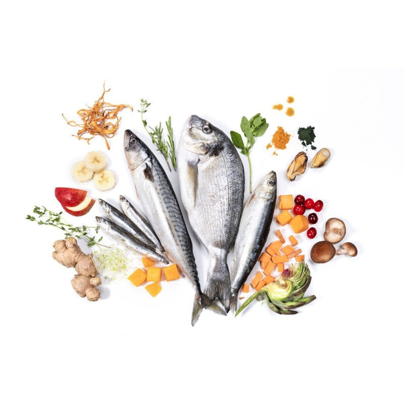 YDOLO MINI WILD FISH RYBY MORSKIE- Półwilgotna karma dla psów małych i miniaturowych 700g