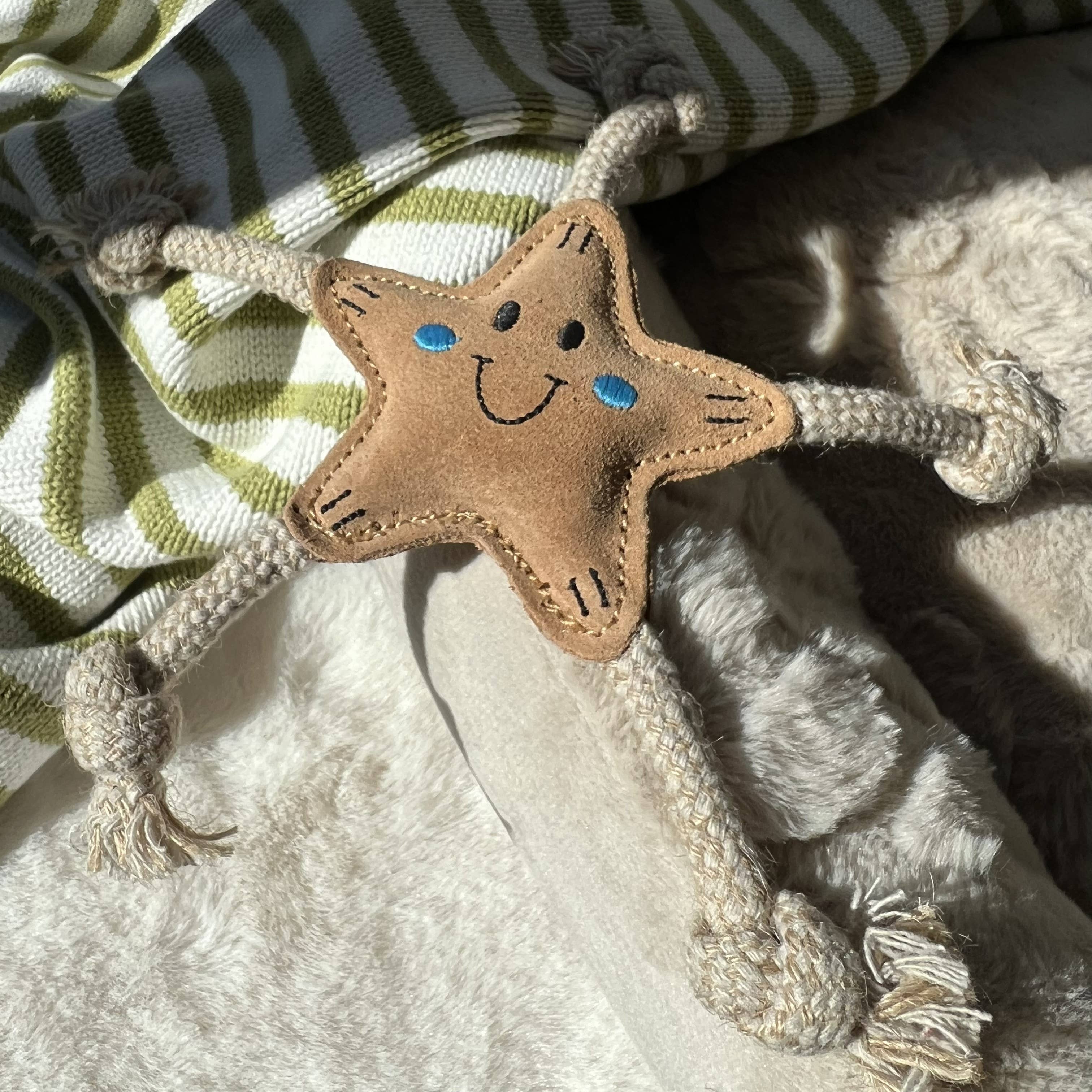 Stellina Summer Edition – letnia gwiazdka dla małych psów ⭐