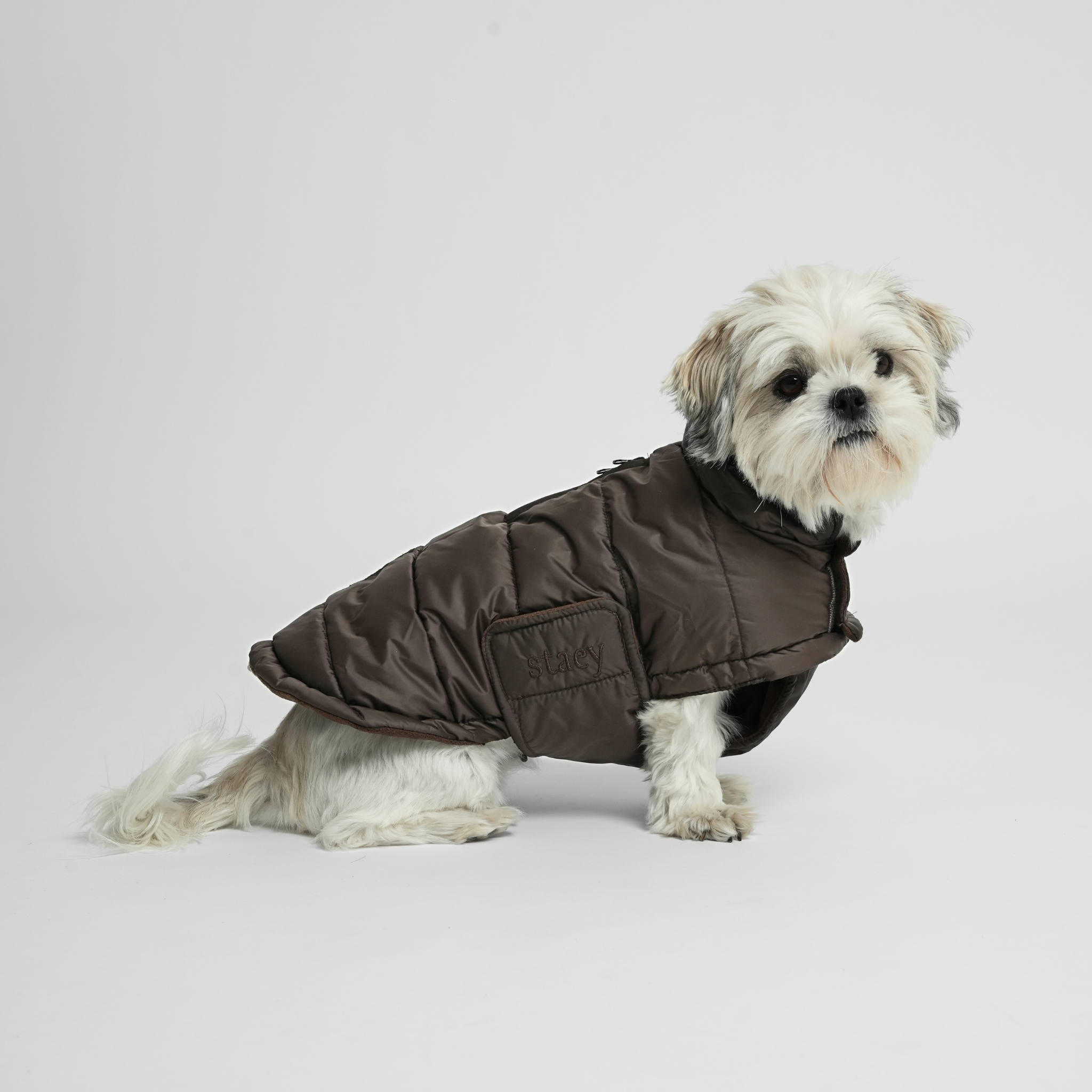 Nora Dog Coat | Espresso: M Staey