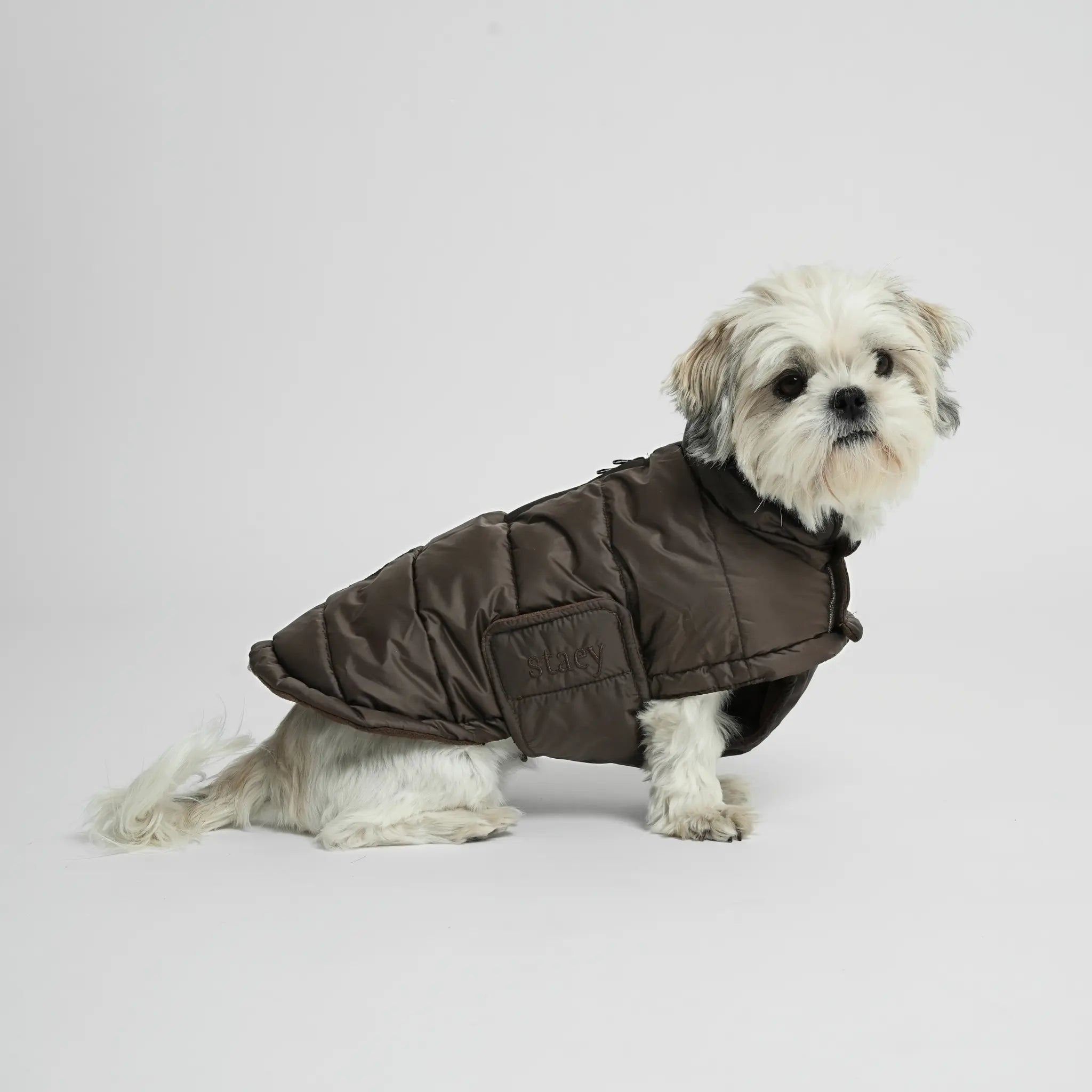 Nora Dog Coat | Espresso: XL Staey