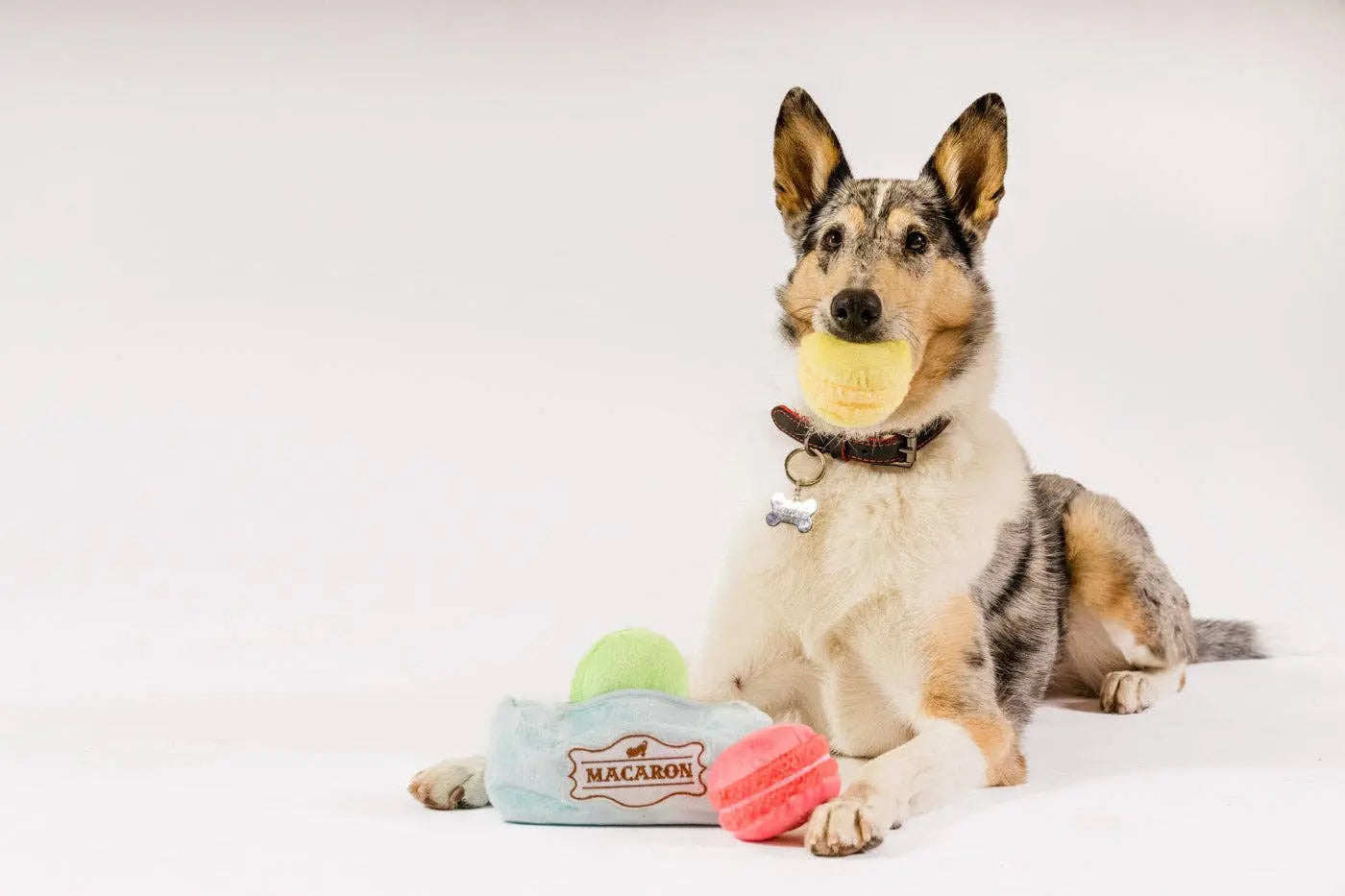 P.L.A.Y Pup Cup Cafe – Makaroniki Mutt-A-Rons XS – Zabawka dla psa P.L.A.Y