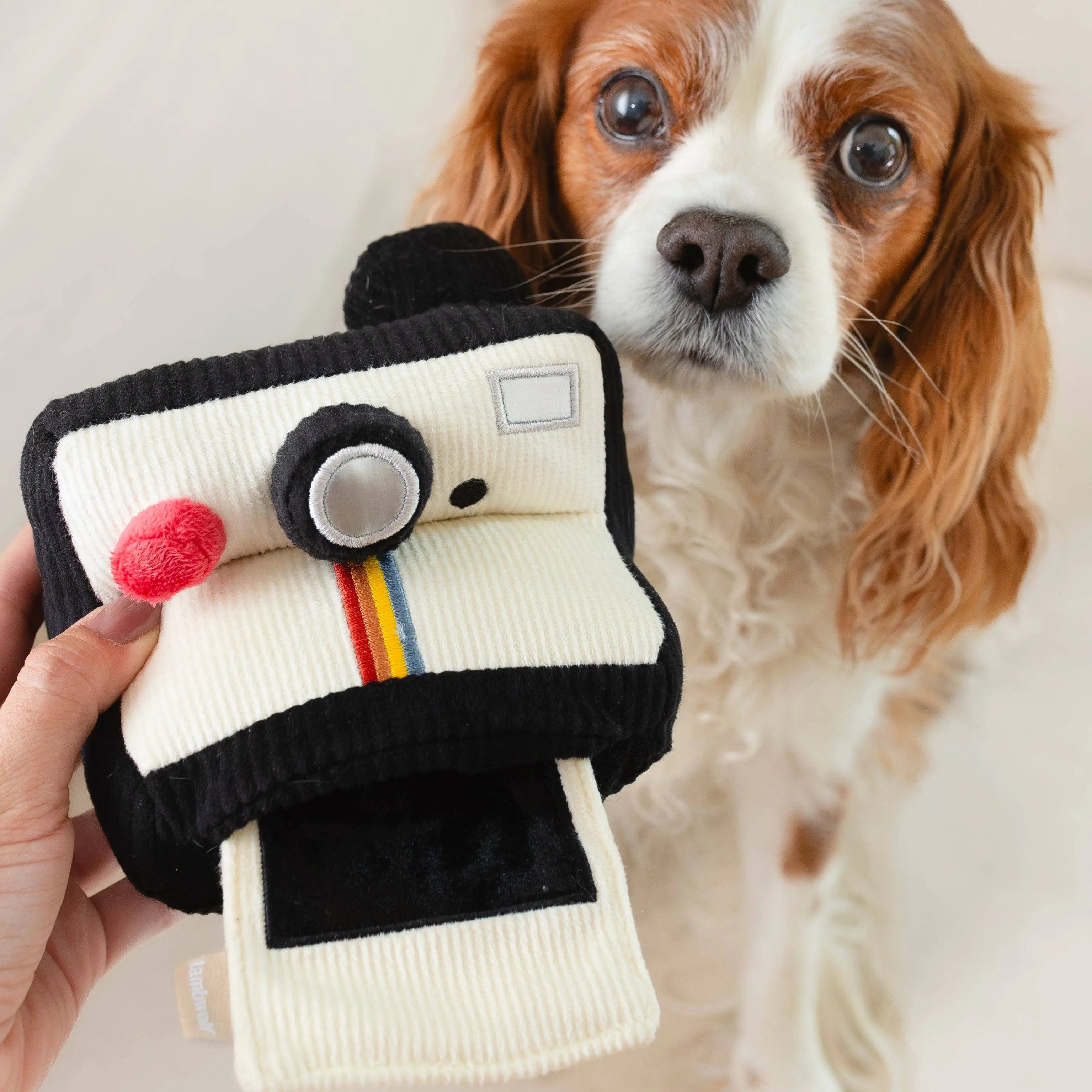 INSTANT CAMERA//Enrichment Toy Lambwolf