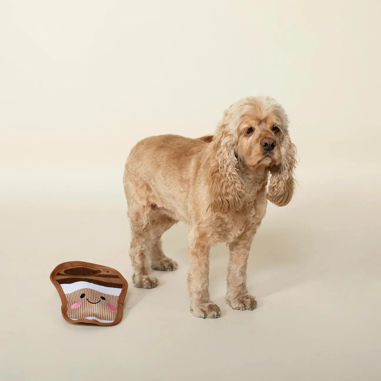 PetShop by Fringe Studio Happy Coffee Wytrzymała pluszowa zabawka dla psa, średnia Fringe