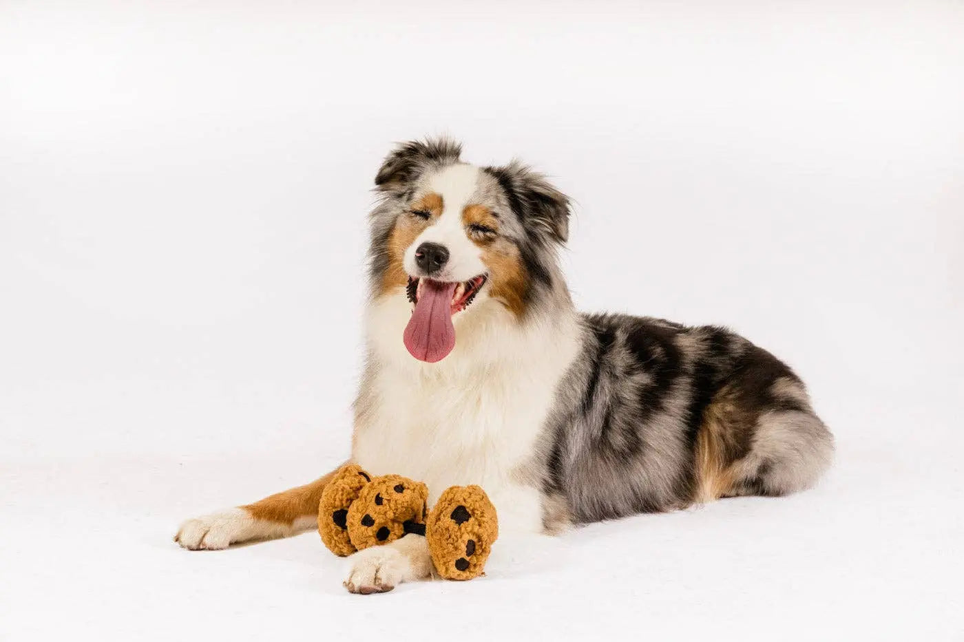 P.L.A.Y Pup Cup Cafe Cookies n’ Treats: M