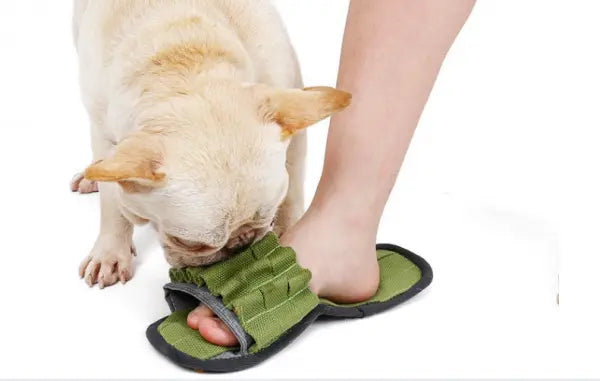 DOGLEMI Zabawka węchowa PANTOFELEK Doglemi