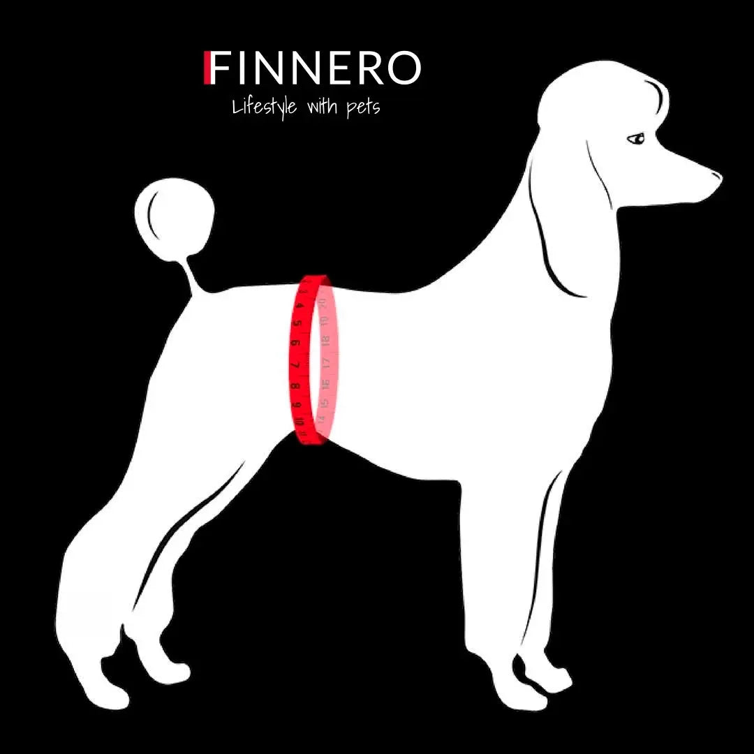 FINNERO Ballerina Dog Hygiene Pants  - Washable, black M