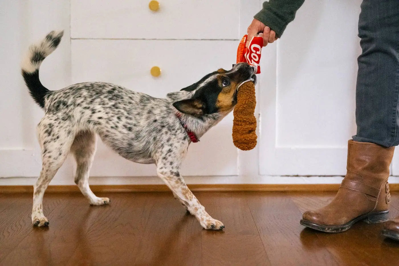 P.L.A.Y Snack Attack Good Boy Cola XS Zabawka dla psa P.L.A.Y